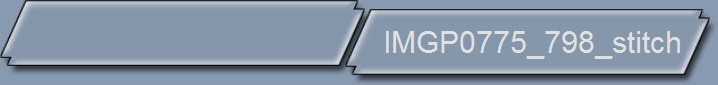 IMGP0775_798_stitch