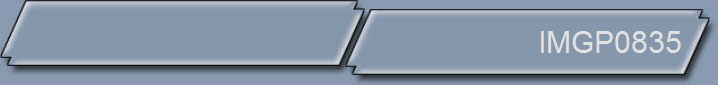 IMGP0835