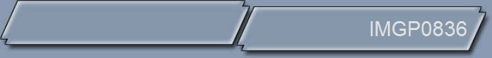 IMGP0836