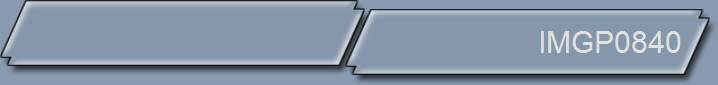 IMGP0840