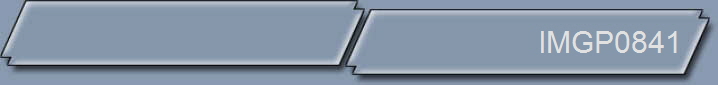 IMGP0841