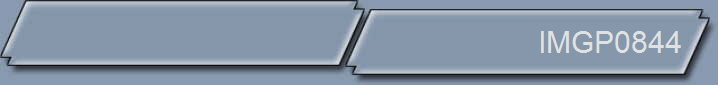 IMGP0844